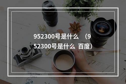 952300号是什么  （952300号是什么  百度）