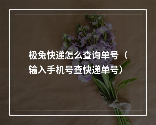 极兔快递怎么查询单号（输入手机号查快递单号）