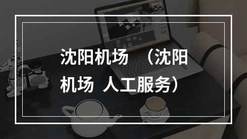 沈阳机场  （沈阳机场  人工服务）