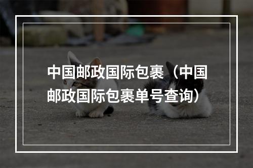 中国邮政国际包裹（中国邮政国际包裹单号查询）