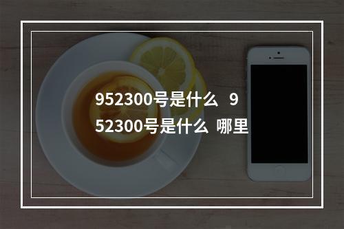 952300号是什么   952300号是什么  哪里