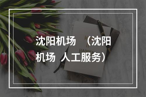 沈阳机场  （沈阳机场  人工服务）