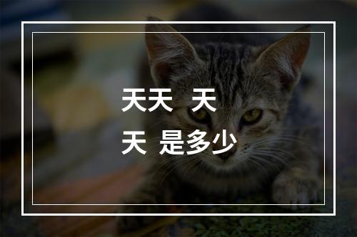 天天   天天  是多少