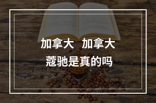 加拿大   加拿大  蔻驰是真的吗