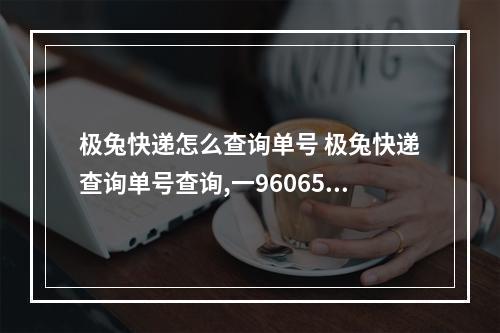 极兔快递怎么查询单号 极兔快递查询单号查询,一960650一22