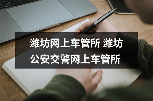 潍坊网上车管所 潍坊公安交警网上车管所