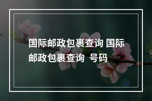 国际邮政包裹查询 国际邮政包裹查询  号码