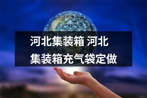 河北集装箱 河北集装箱充气袋定做