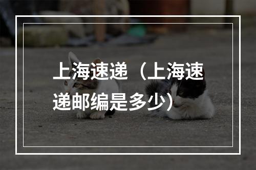 上海速递（上海速递邮编是多少）