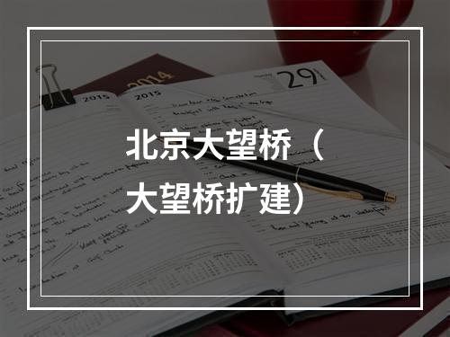 北京大望桥（大望桥扩建）