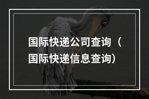 国际快递公司查询（国际快递信息查询）