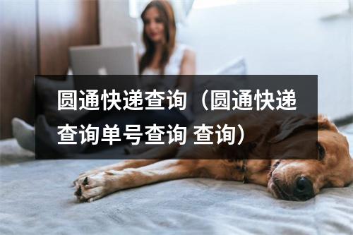 圆通快递查询（圆通快递查询单号查询 查询）
