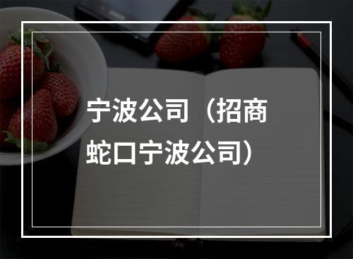 宁波公司（招商蛇口宁波公司）