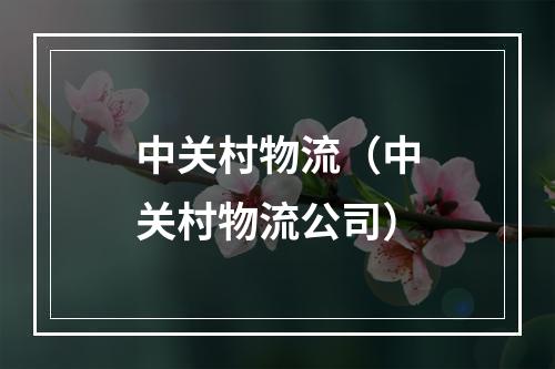 中关村物流（中关村物流公司）
