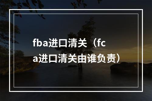 fba进口清关（fca进口清关由谁负责）