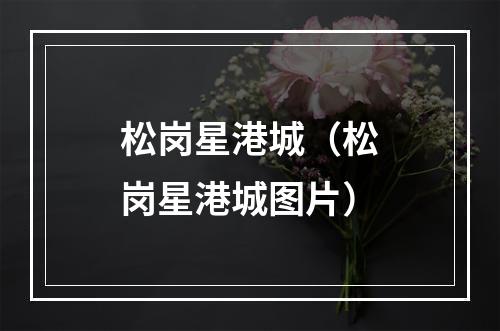 松岗星港城（松岗星港城图片）