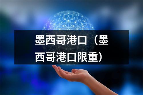 墨西哥港口（墨西哥港口限重）