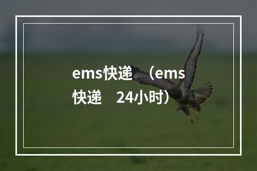 ems快递  （ems快递    24小时）