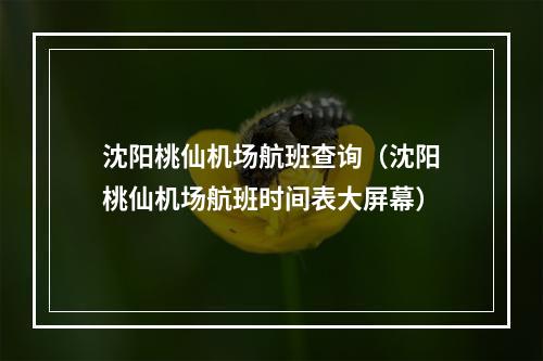 沈阳桃仙机场航班查询（沈阳桃仙机场航班时间表大屏幕）