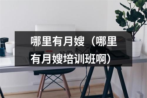 哪里有月嫂（哪里有月嫂培训班啊）