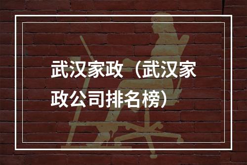 武汉家政（武汉家政公司排名榜）
