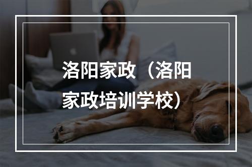 洛阳家政（洛阳家政培训学校）