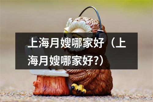 上海月嫂哪家好（上海月嫂哪家好?）