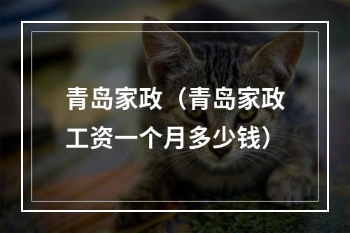 青岛家政（青岛家政工资一个月多少钱）