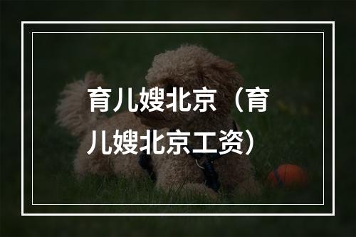 育儿嫂北京（育儿嫂北京工资）