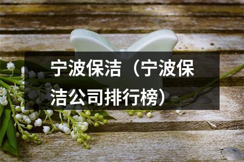宁波保洁（宁波保洁公司排行榜）