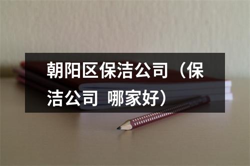 朝阳区保洁公司（保洁公司  哪家好）