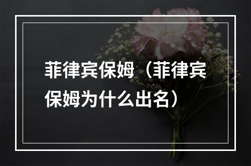 菲律宾保姆（菲律宾保姆为什么出名）