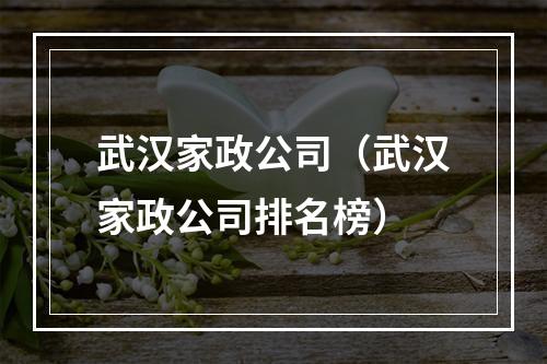 武汉家政公司（武汉家政公司排名榜）