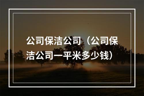 公司保洁公司（公司保洁公司一平米多少钱）