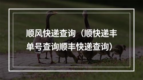 顺风快递查询（顺快递丰单号查询顺丰快递查询）