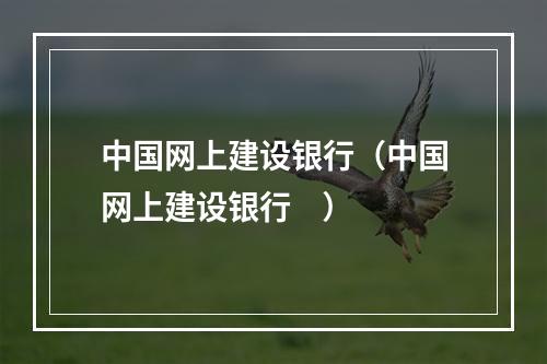 中国网上建设银行（中国网上建设银行    ）