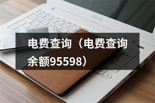 电费查询（电费查询余额95598）