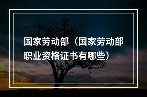 国家劳动部（国家劳动部职业资格证书有哪些）