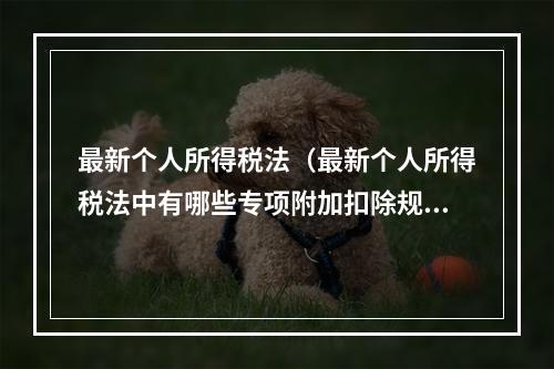 最新个人所得税法（最新个人所得税法中有哪些专项附加扣除规定?）