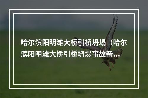 哈尔滨阳明滩大桥引桥坍塌（哈尔滨阳明滩大桥引桥坍塌事故新闻发布会）