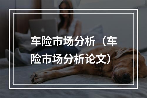 车险市场分析（车险市场分析论文）