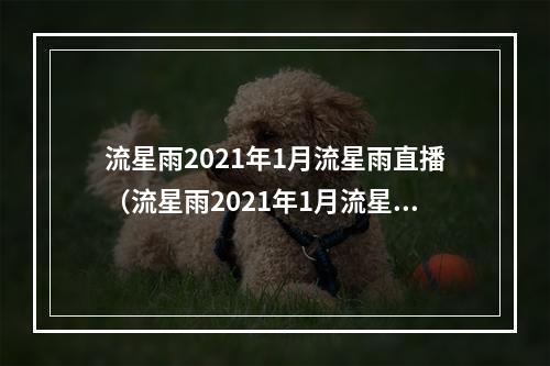 流星雨2021年1月流星雨直播（流星雨2021年1月流星雨回放）