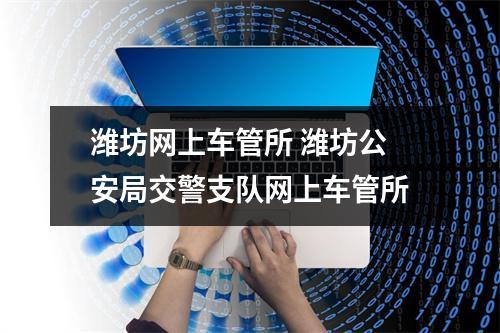 潍坊网上车管所 潍坊公安局交警支队网上车管所