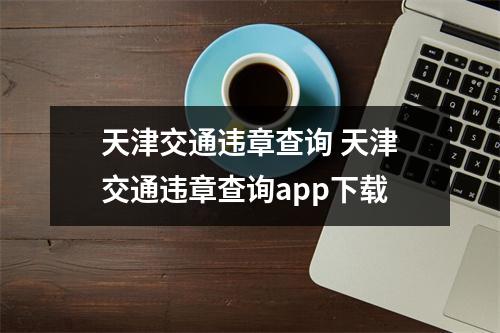 天津交通违章查询 天津交通违章查询app下载