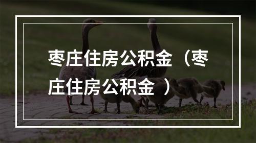 枣庄住房公积金（枣庄住房公积金  ）