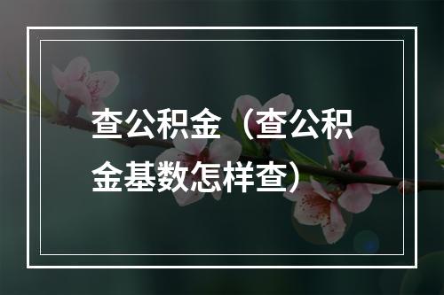查公积金（查公积金基数怎样查）