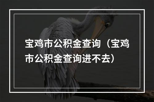 宝鸡市公积金查询（宝鸡市公积金查询进不去）