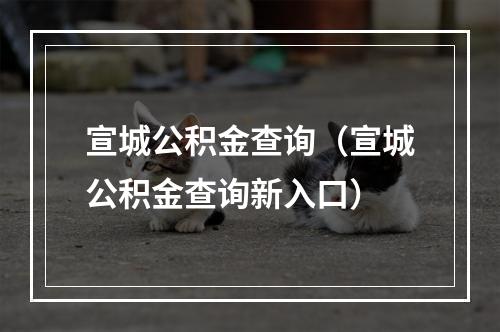 宣城公积金查询（宣城公积金查询新入口）