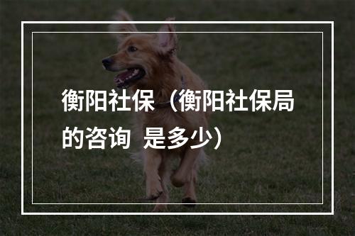 衡阳社保（衡阳社保局的咨询  是多少）