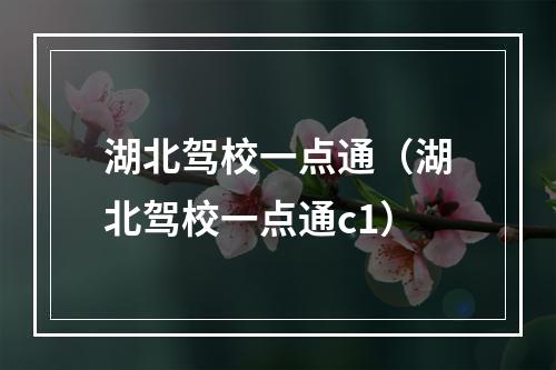 湖北驾校一点通（湖北驾校一点通c1）